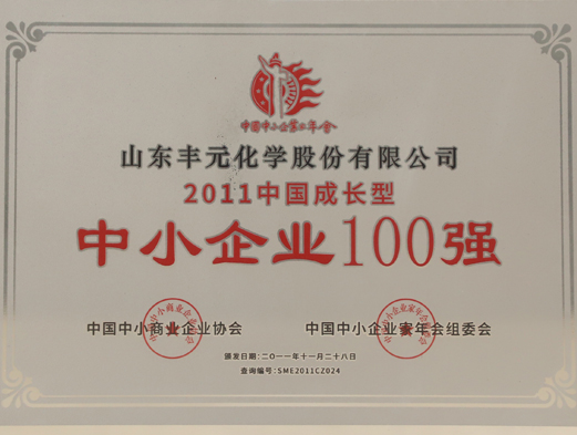 中國成長型中小企業(yè)100強(qiáng)