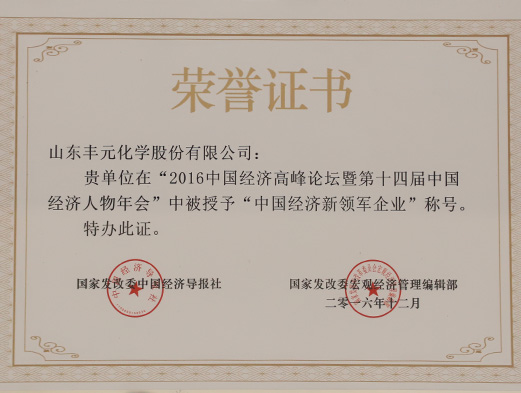 中國經(jīng)濟(jì)新領(lǐng)軍企業(yè)